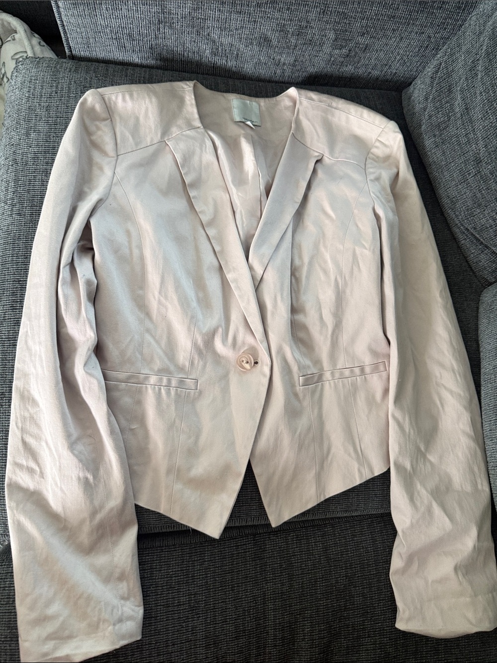 Halogen Light Blush Single-Button Blazer